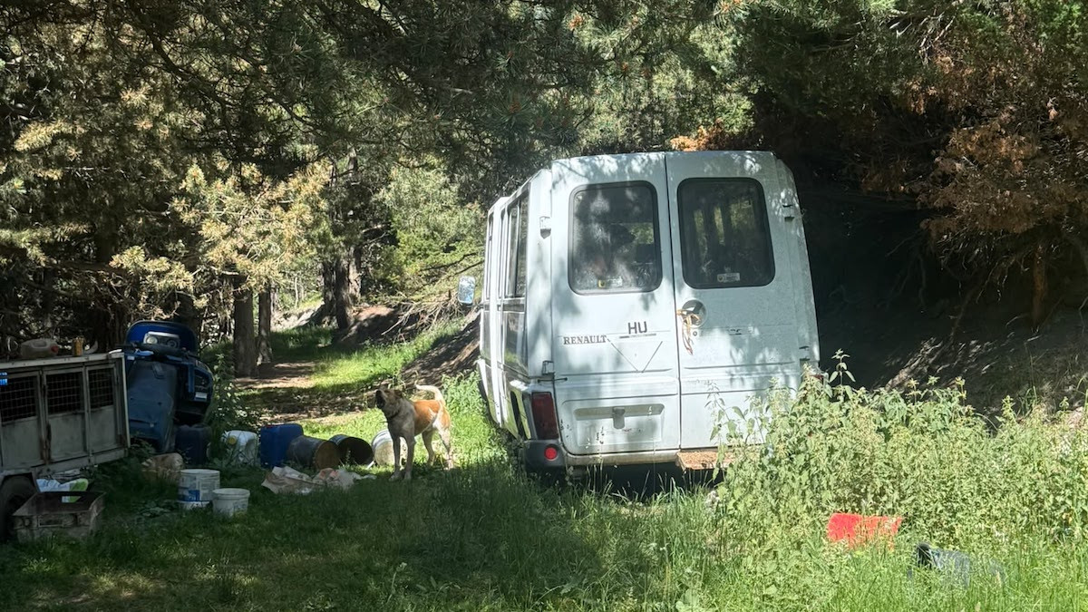 Imatge del vehicle on s'han trobat els gossos tancats
