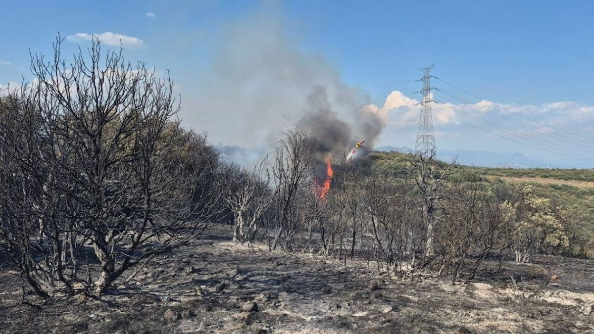 Imatge de l'incendi al coll de Comiols
