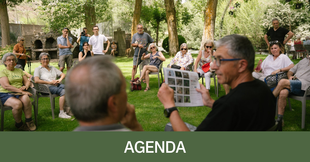 Imatge d'una activitat del Dansàneu d'aquest passat mes de juny.