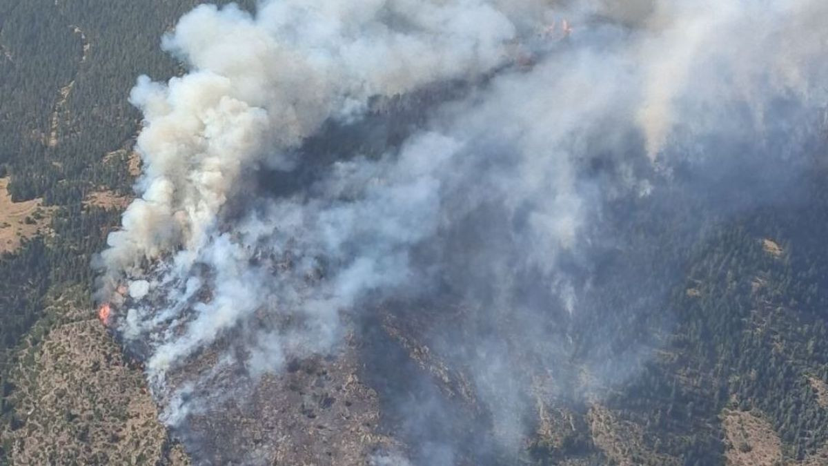 Imatge de l'incendi forestal declarat al terme de Farrera