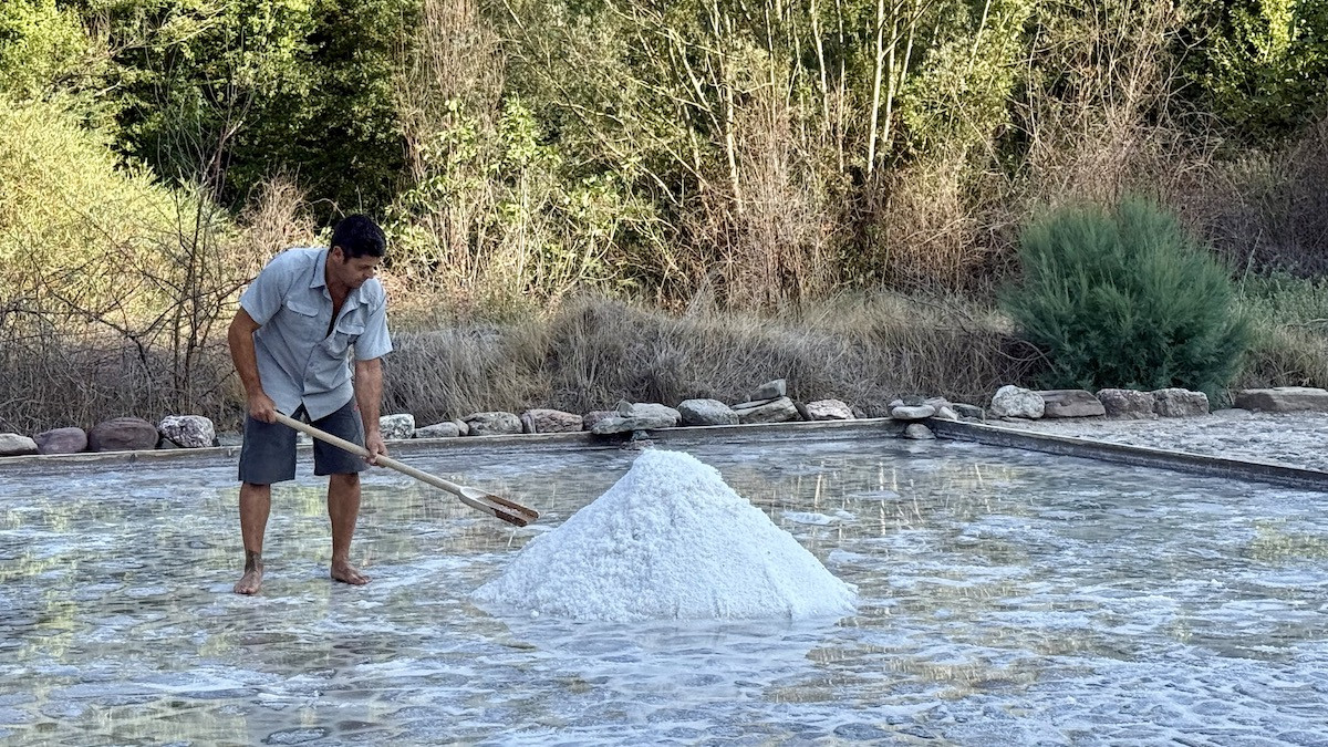 Procés d'amuntegament de la sal perquè s'acabi d'escórrer l'aigua