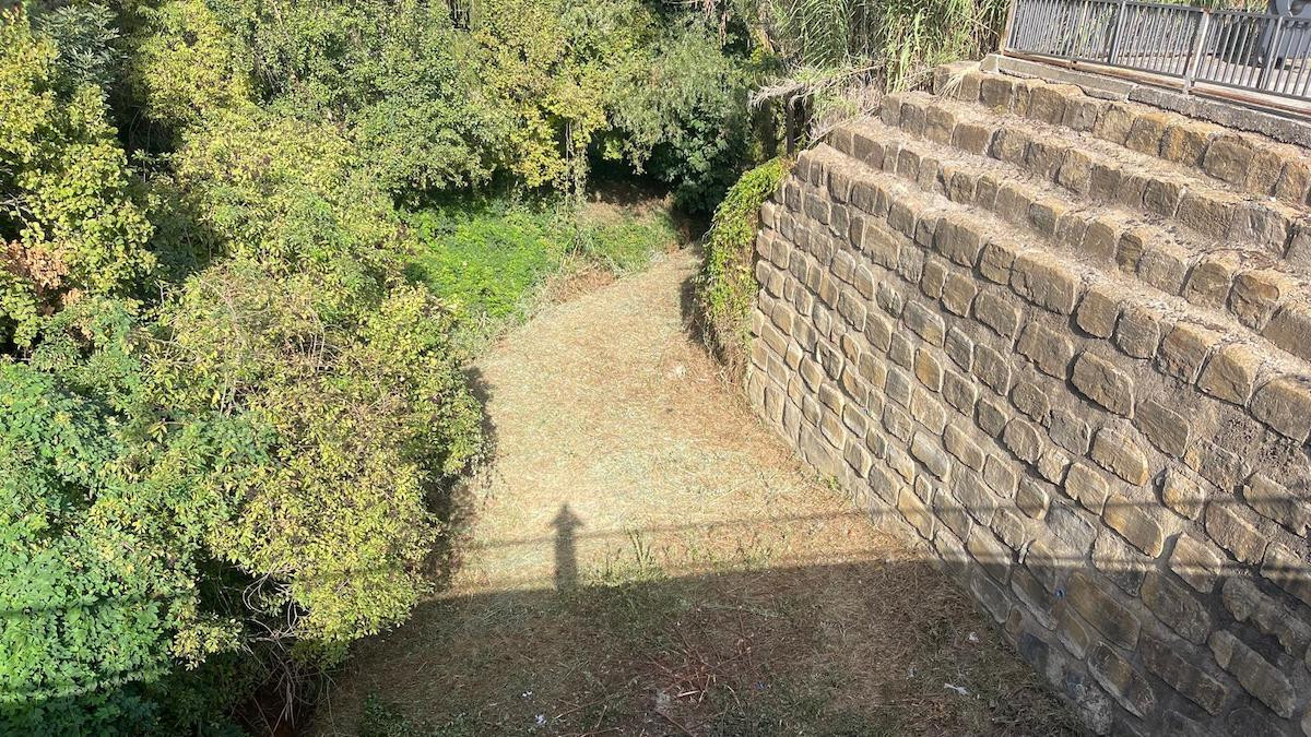 Zona del barranc de la Font Vella després dels treballs de desbrossament