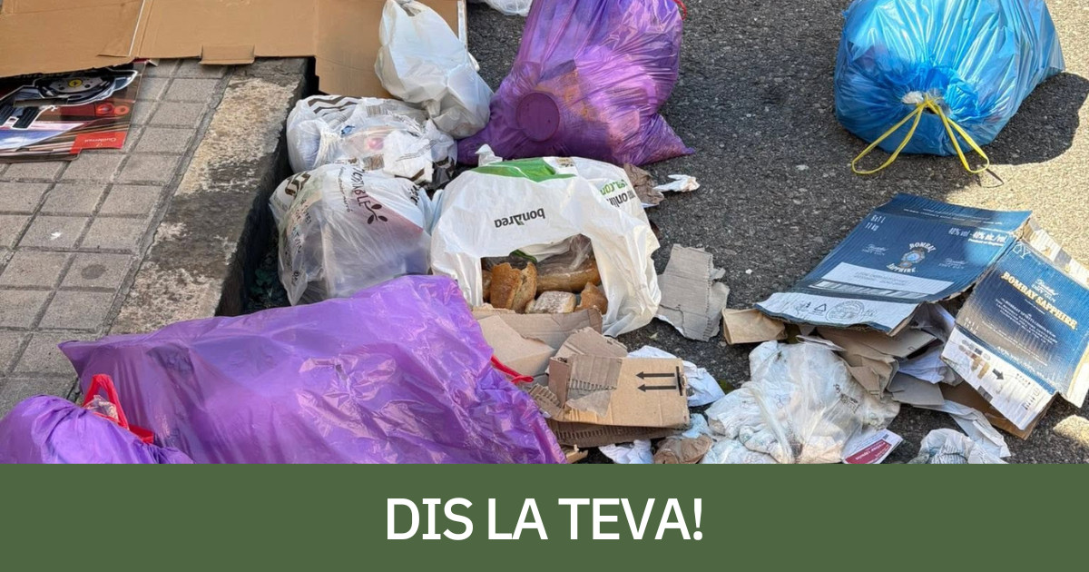 Bosses d'escombraries al carrer, el passat estiu, a la Pobla de Segur