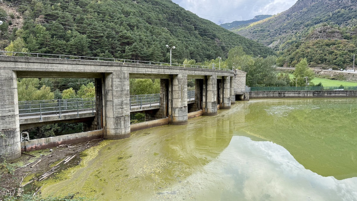 L'aigua a la zona de les comportes del pantà de la Torrassa presenta un color verd groguenc