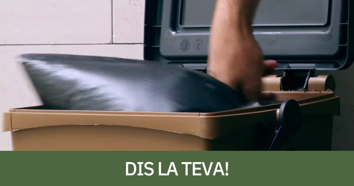 Un cubell de l'orgànica del sistema de recollida porta a porta