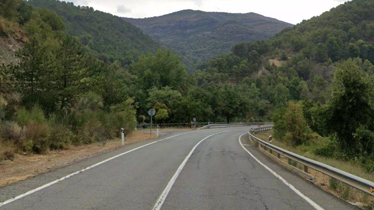 Punt aproximat on s'ha produït l'accident amb un animal a la Pobla de Segur