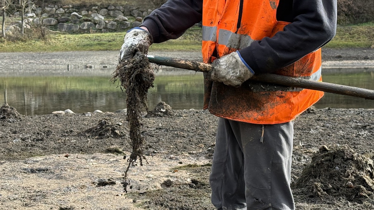 Notícies de Marc Solanes